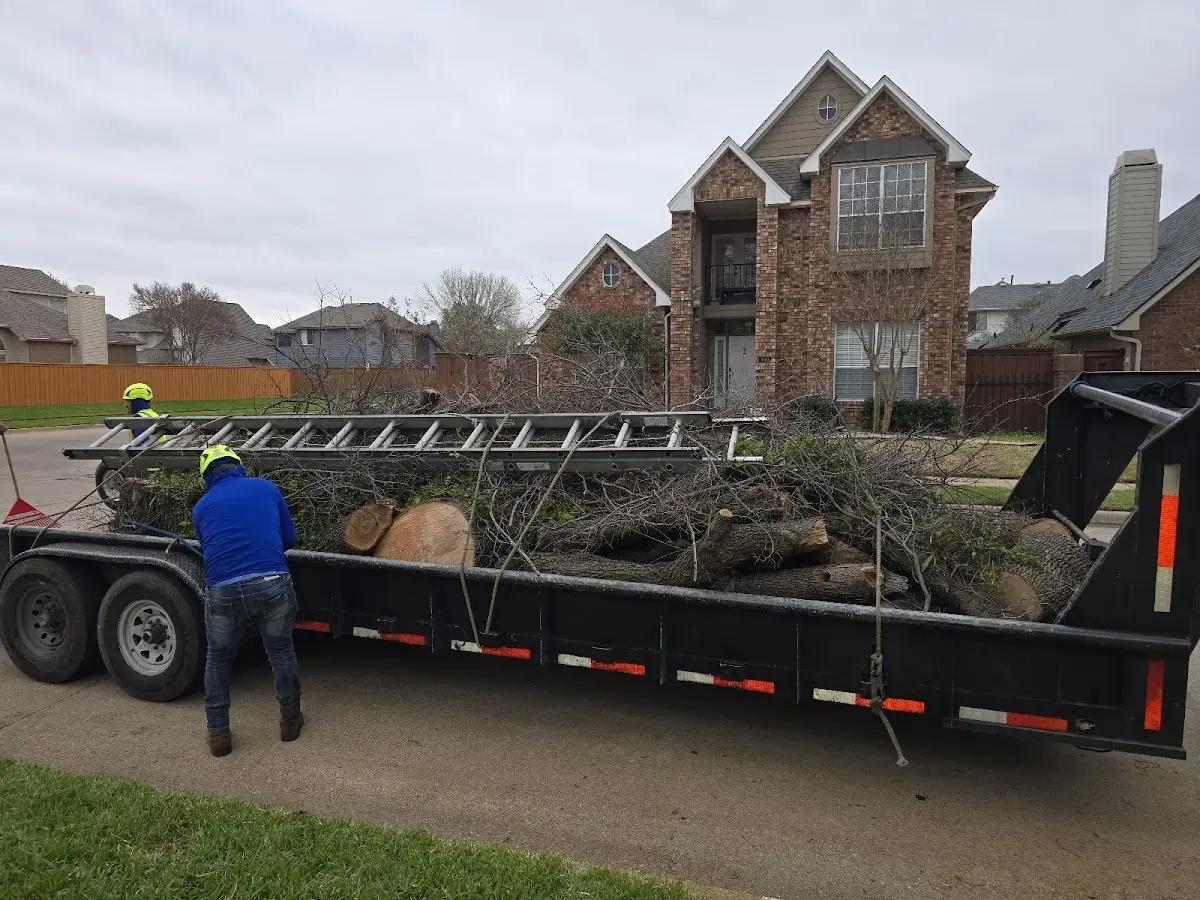 Expert Lot Clearing with proper safety equipment in King And Queen Court House